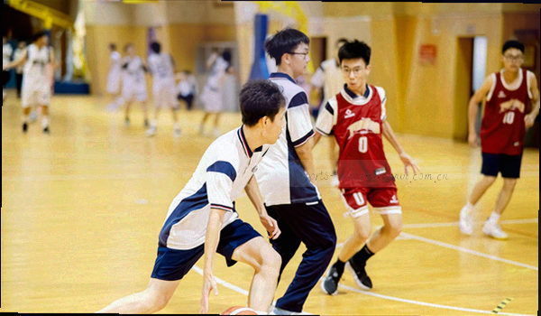 订阅用户增长折线图，纵轴为用户数，曲线呈逐年上升趋势
